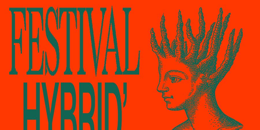 image - Festival Hybrid' #1