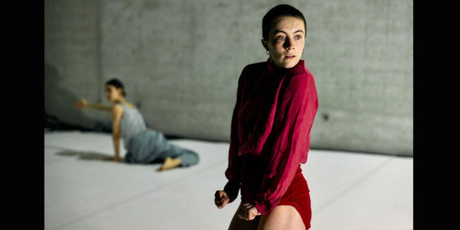 image - BRUT - Kinga Jaczewska