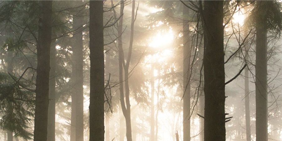 image - Le Silence de Claire Lagrange
