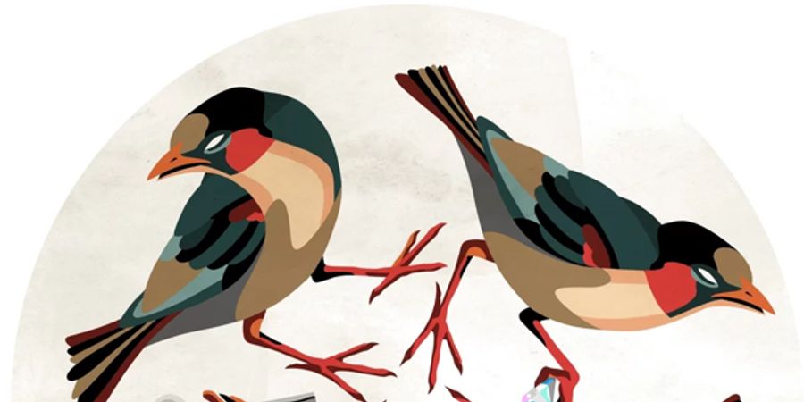 image - Sozyone Gonzalez - Ultrabrut