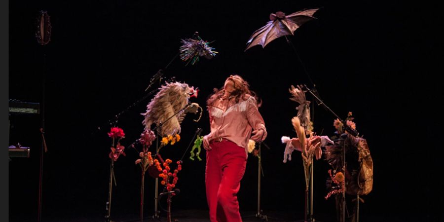 image - Feu les animaux - Marie Lecomte