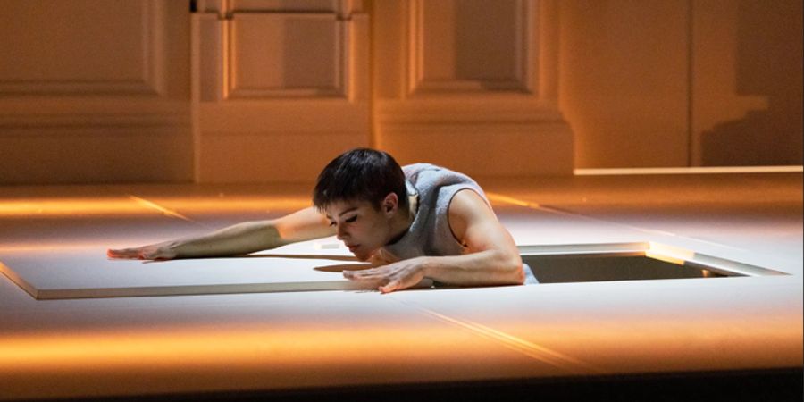 image - Entre chiens et louves - Cirque Le Roux