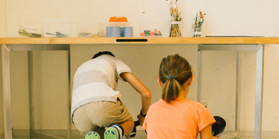 image - STAGE MULTIDISCIPLINAIRE