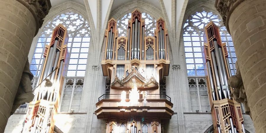 image - Festival d'Orgue Ars in Cathedrali