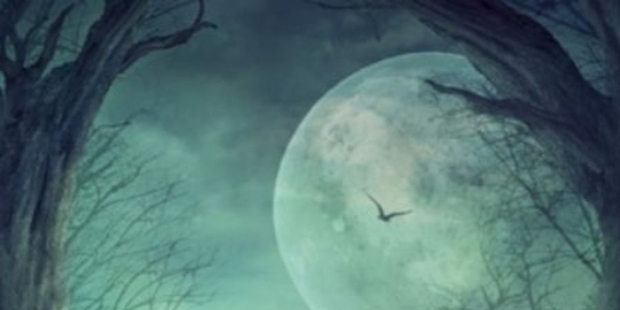 image - Halloween - Balades contées dans la Forêt interdite