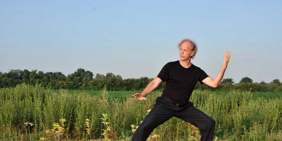 image - STAGE DE TAI CHI QIGONG