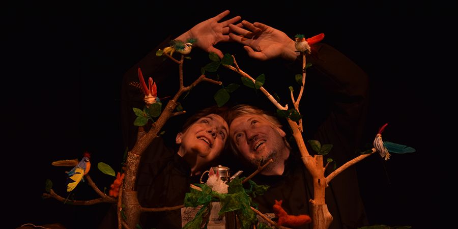 image - Inséparables