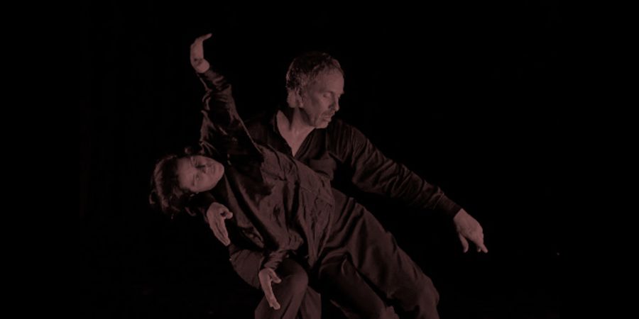image - STAGE DANSE-THÉÂTRE
