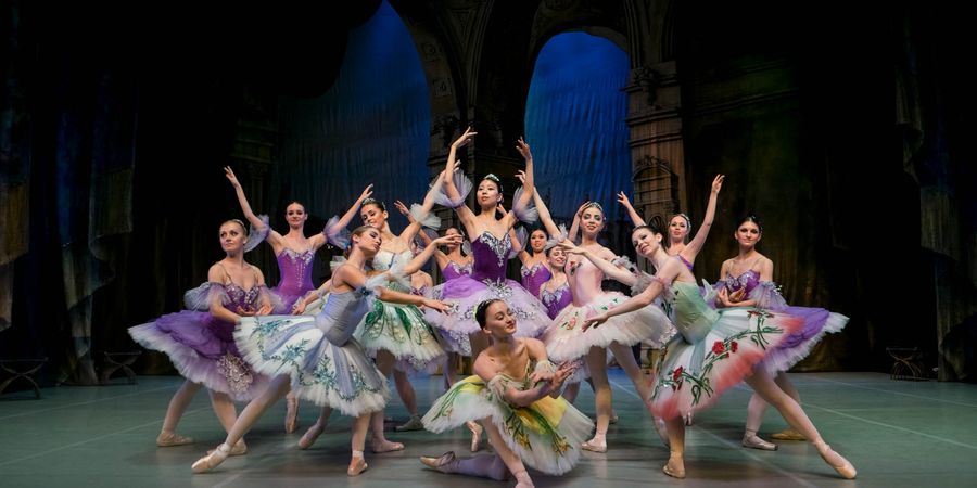 image - The Sleeping Beauty
