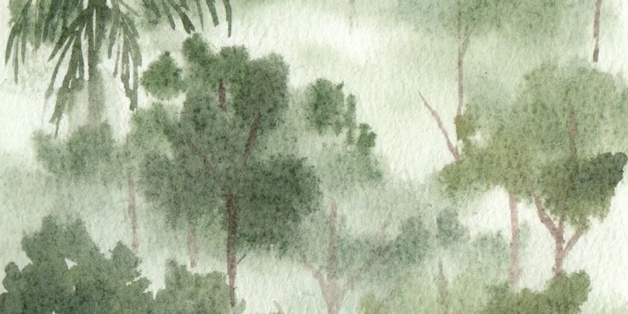 image - Stage capoeirAventure // 8-12 ans