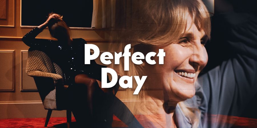 image - Perfect Day