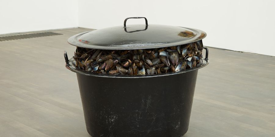 image - Broodthaerskabinet