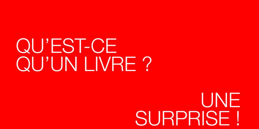 image - Qu'est-ce qu'un livre ? Une surprise !