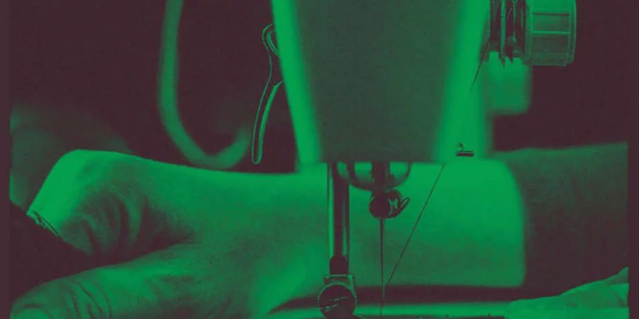 image - Les Fleurs de l’ombre