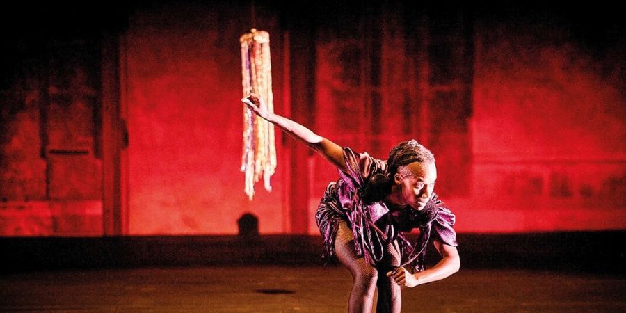 image - The Disappearing Act