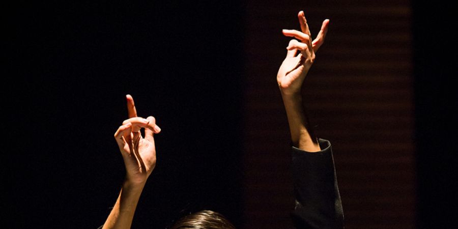 image - Antigone Sr.