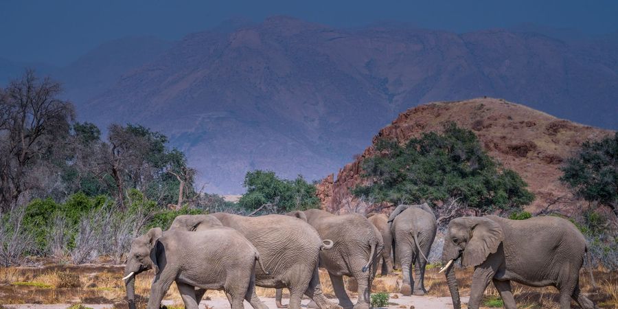 image - Namibie, exceptionnelle par nature