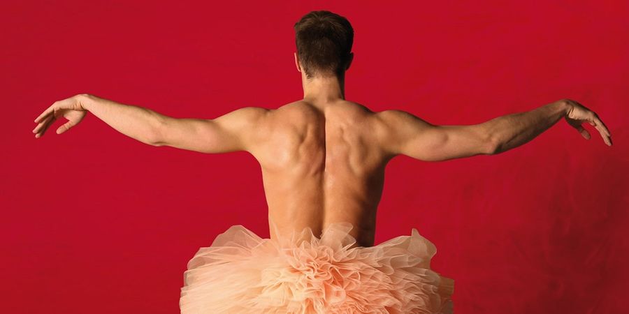 image - Tutu
