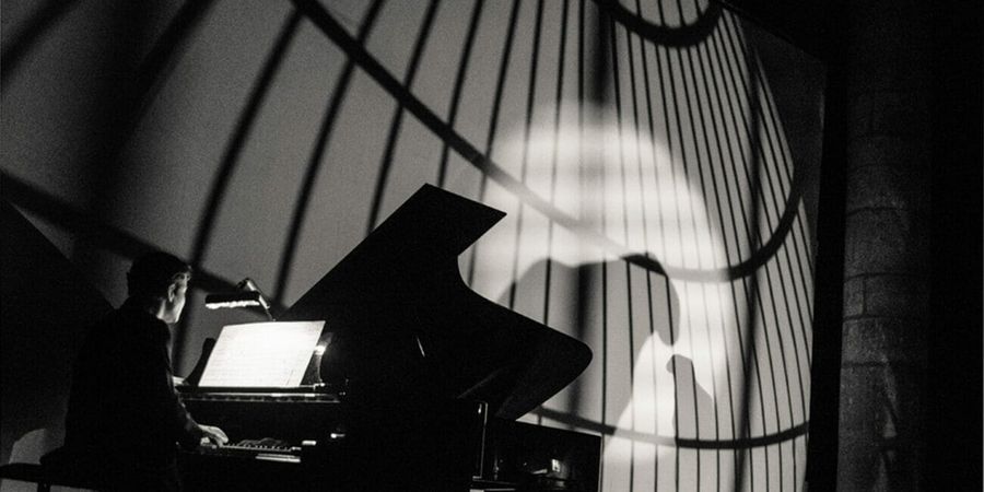 image - Les ombres errantes
