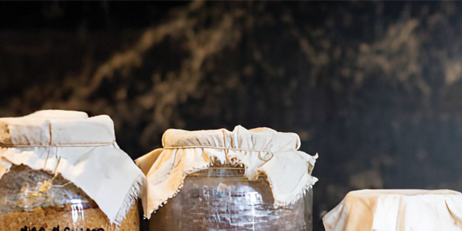 image - Atelier « 4 Saisons » – Lacto-fermentation