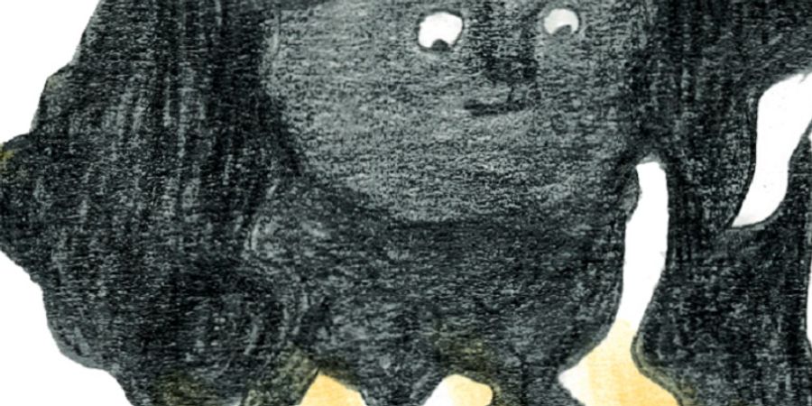 image - Dessinons nos compagnons