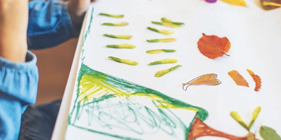 image - Stages d'été pour enfants 25-26