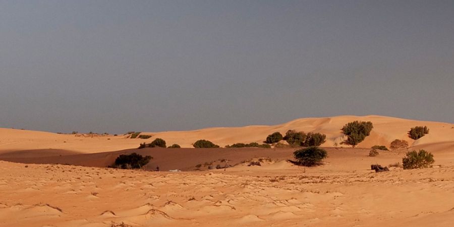 image - SÉNÉGAL, du nord au sud
