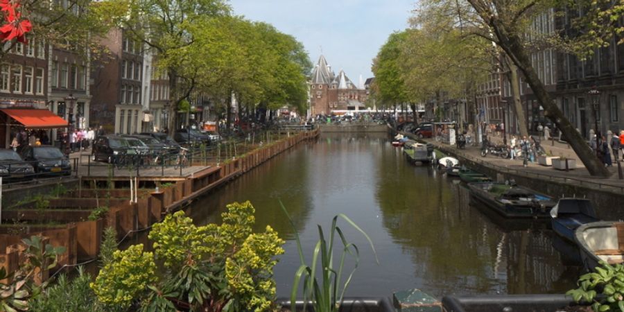 image - LES PAYS-BAS, Amsterdam