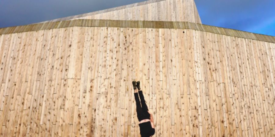 image - Les petits Moments de Cirque - Works in progress