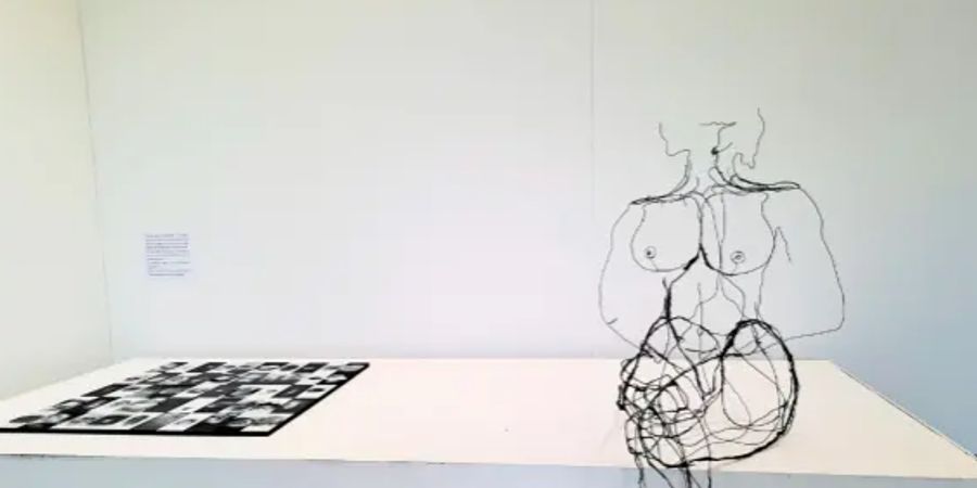 image - Nicolas Gustin & Alix Warnant