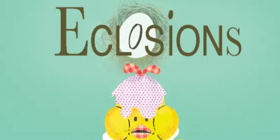 image - Festival Eclosions