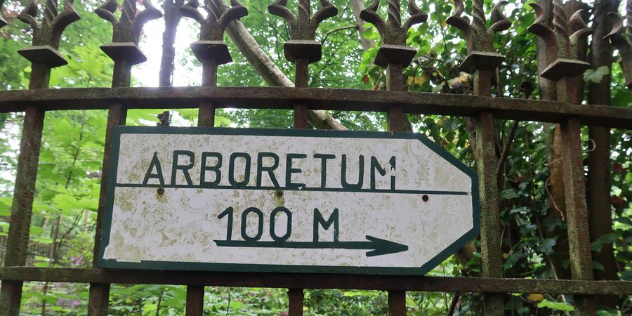 image - L'arboretum d'Esneux