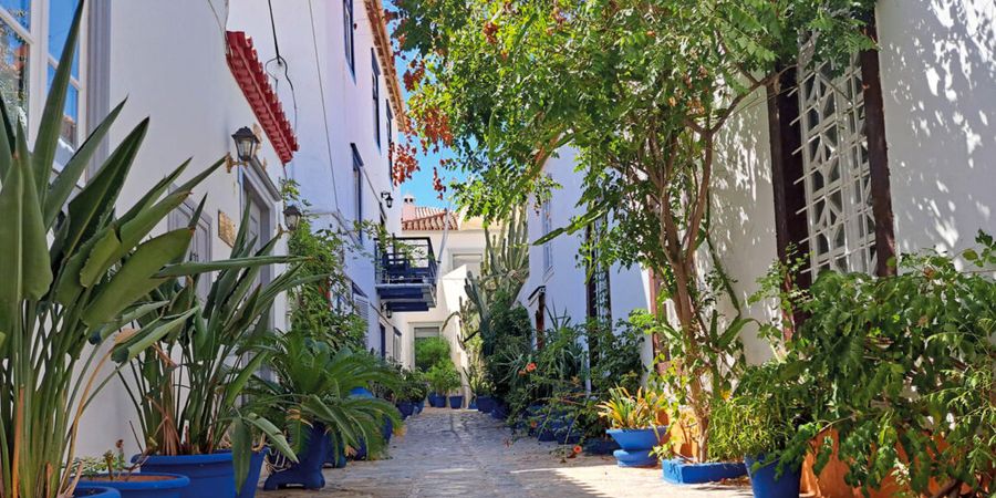 image - La Grèce, ses îles légendaires aux balcons d’Athènes