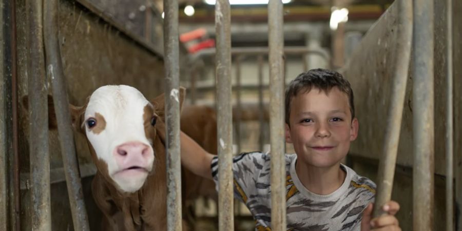 image - La ferme des Bertrand