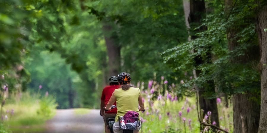 image - Rallye Vélo à travers le Parc National ESEM