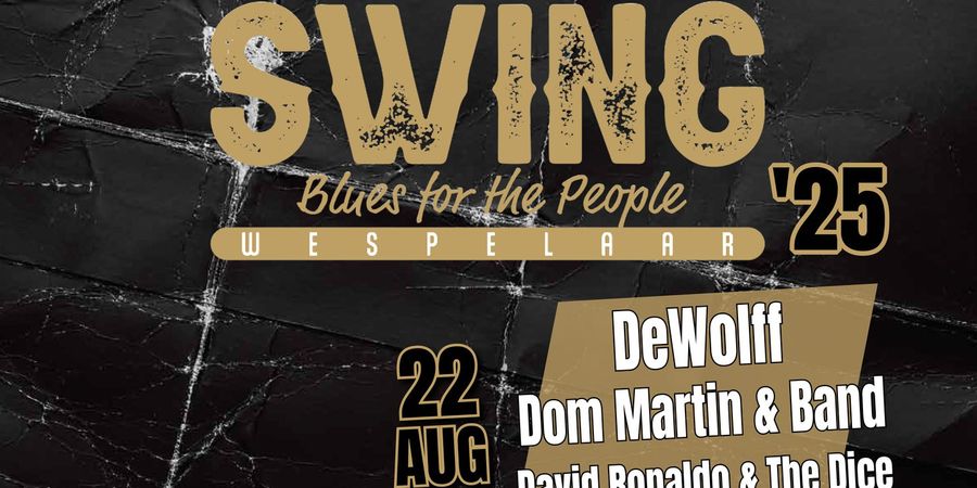 image - Gratis bluesfestival Swing Wespelaar
