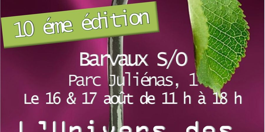 image - L'Univers des Artistes