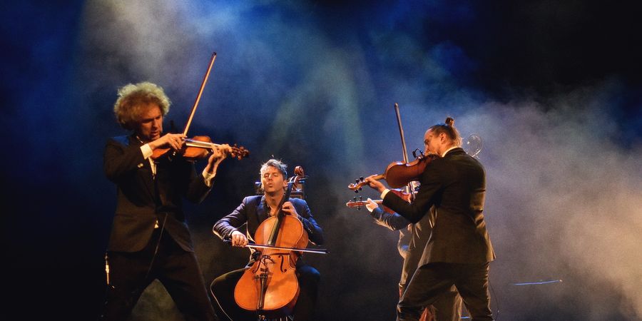 image - « Volosi » Trad-world (Pologne)