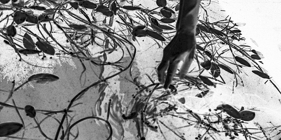 image - Dirty Clostes de Marianne Chargois
