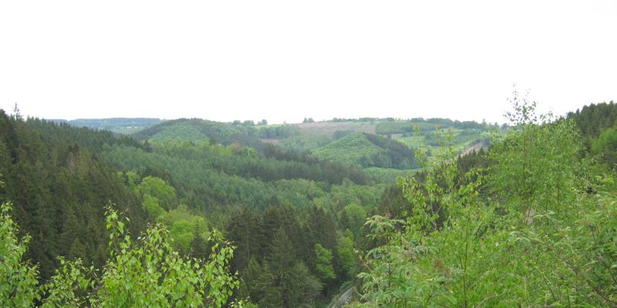 image - Balade nature 