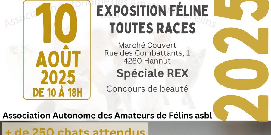 image - exposition international de chats de race