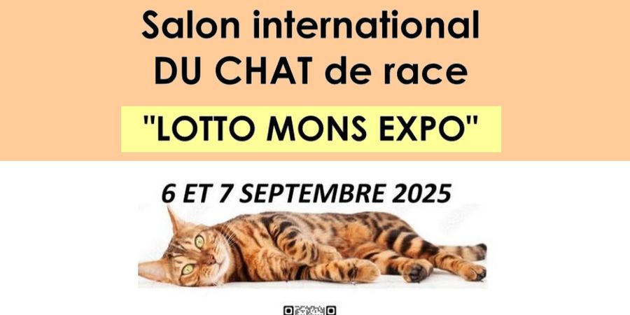 image - Salon International du Chat - MONS 2025