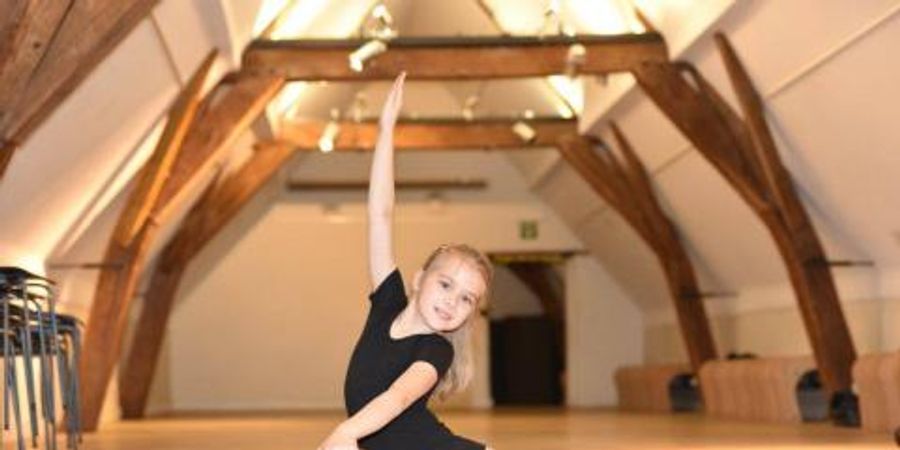 image - Artistieke gymnastiek