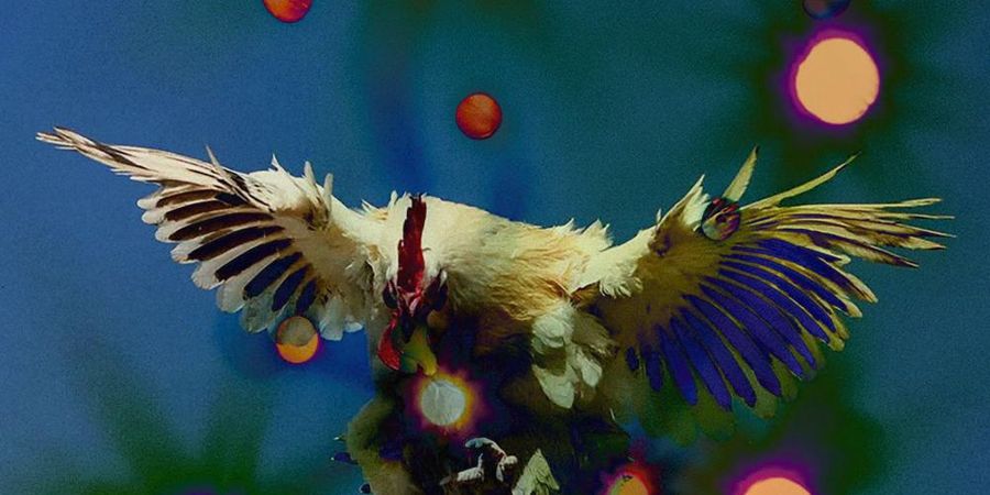 image - a pulse with no body a sun with no sky