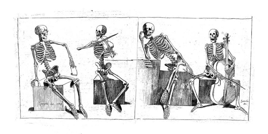 image - The Bones
