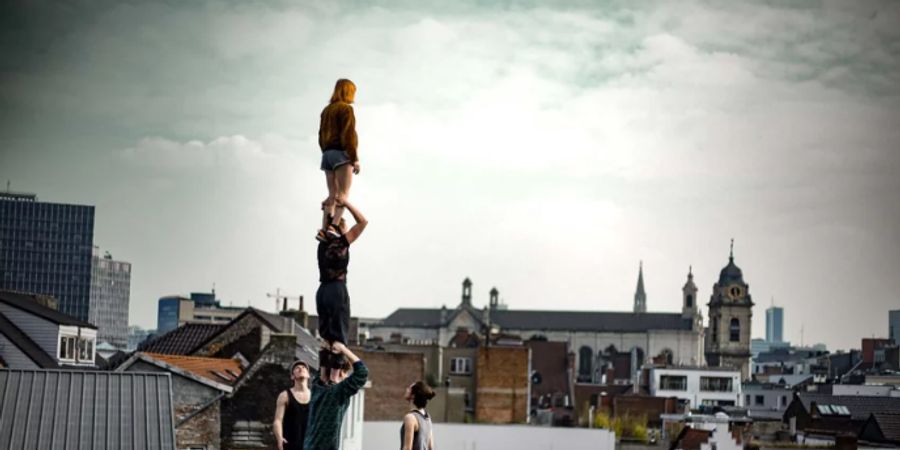 image - Creatie les 14+