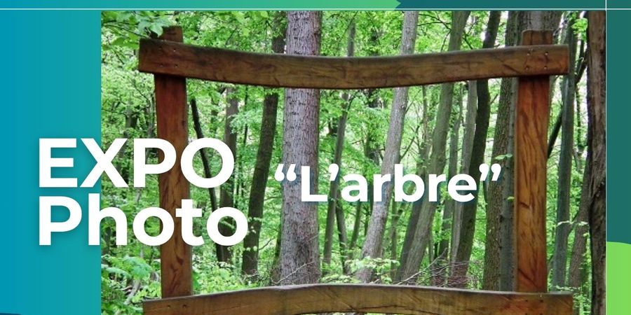 image - Fototentoonstelling 