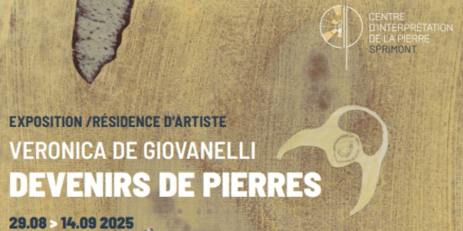 image - Devenirs de pierre