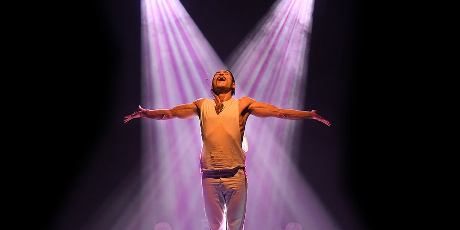 image - Je vis avec Freddie Mercury !