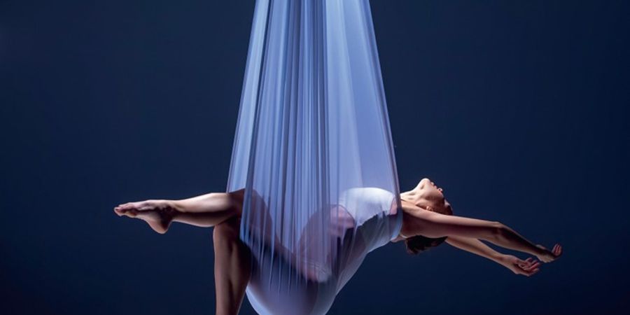 image - Aerial Yoga Flow
